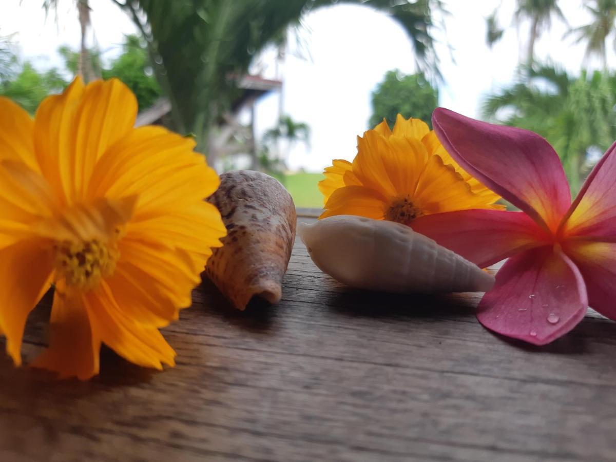 Daluyong Beach Resort Хенерал Луна Екстериор снимка