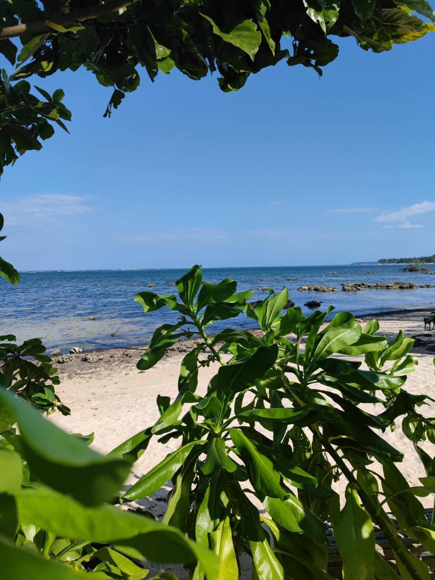 Daluyong Beach Resort Хенерал Луна Екстериор снимка
