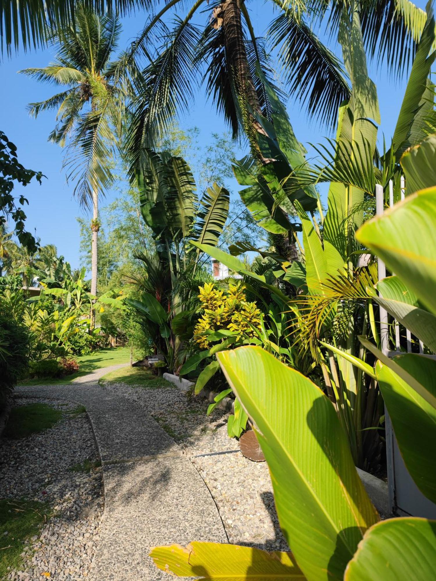 Daluyong Beach Resort Хенерал Луна Екстериор снимка